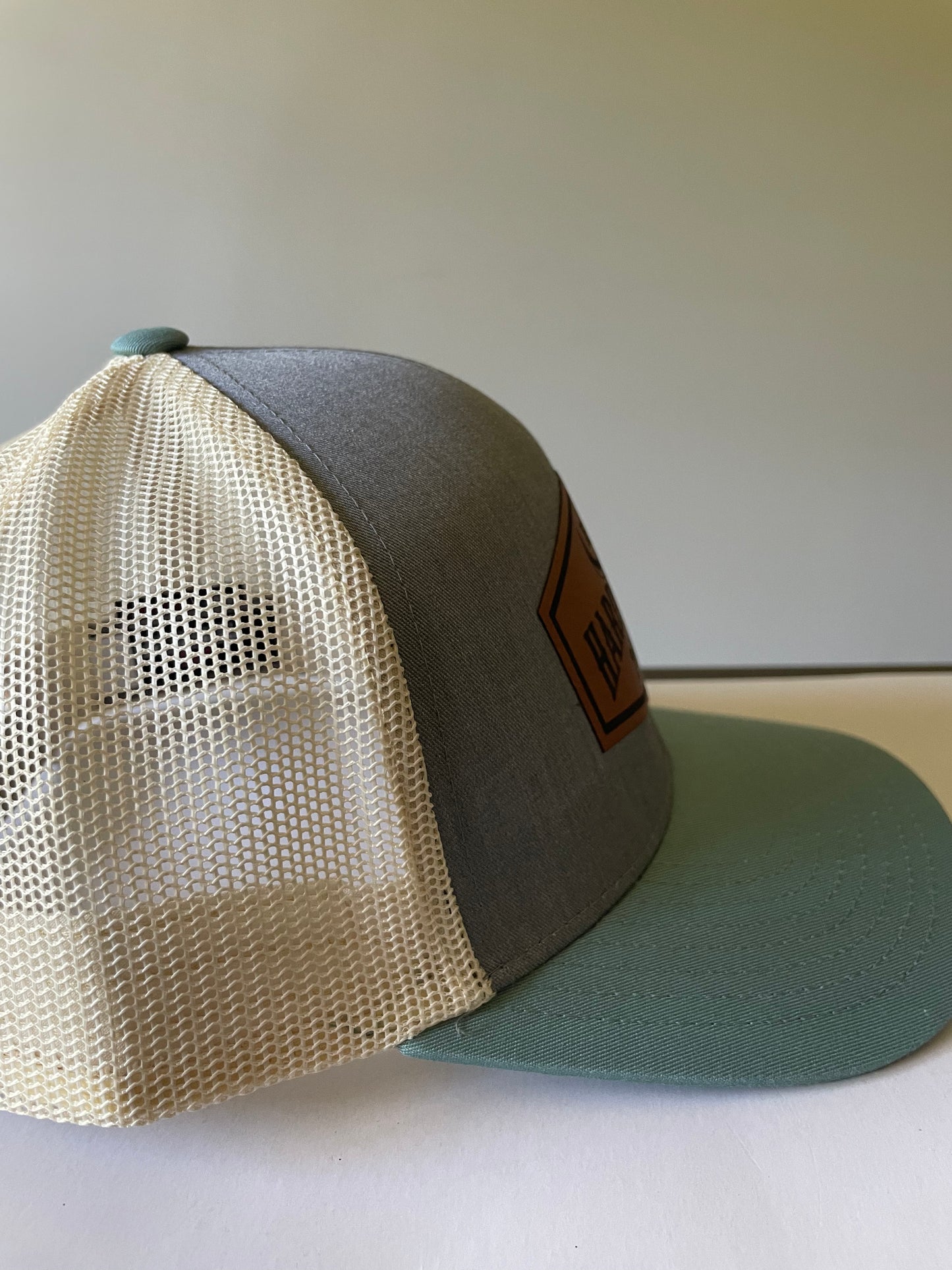 Blue Leather Patch Hat